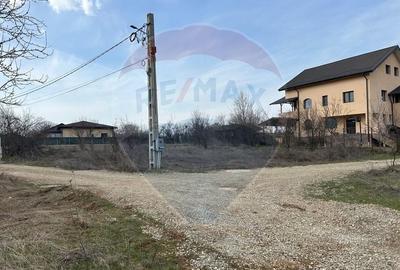 Teren Construcții intravilan de 700 mp, în Izvorani - 10