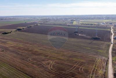 Teren Construcții intravilan de 7500 mp, în Săbăreni - 4