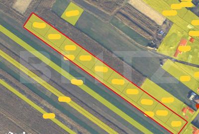 Teren de 14404 mp, în Dărmănești - 1