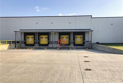 Spațiu comercial, de 1,500 mp, în Chiajna - 9