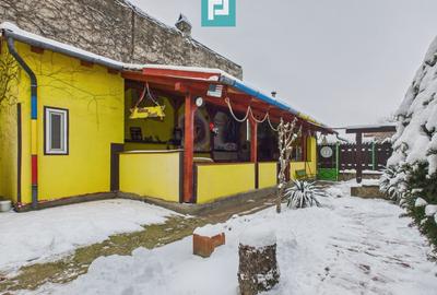 Casă individuală cu 4 camere cu Piscina în Pârneava - 18