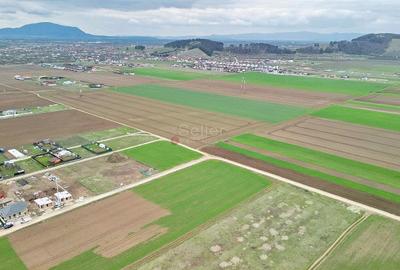 Teren intravilan - 13