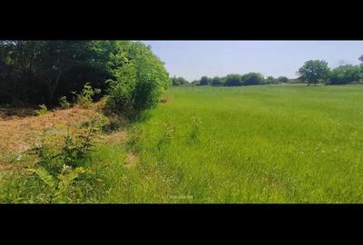 Teren de 2800 mp, în Lovrin - 16