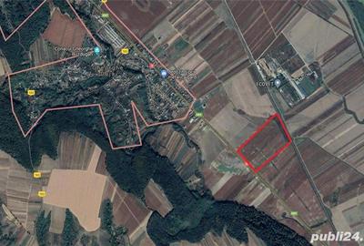 Teren de 200000 mp, în Gheorghe Doja - 2