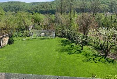 Casă cu Teren 1200 Mp în Calea Moldovei - 3