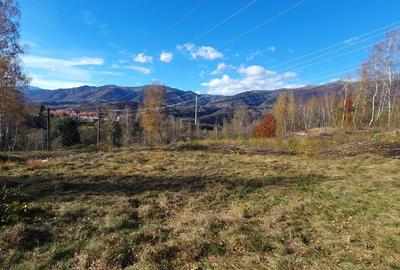 TERE la baza STAȚIUNII STRAJA - LUPENI - 3