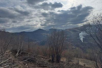 Spațiu comercial, în Muntele Rece - 3