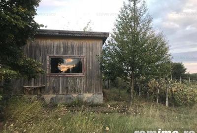 Teren de 500 mp, în Central - 6