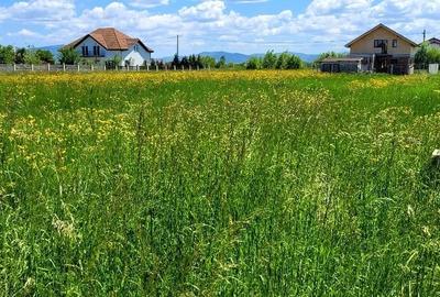 Teren Intravilan Podul Olt - 2