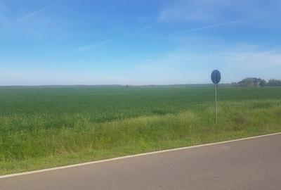 Teren intravilan arabil 55.400 m.p. Vasilati, Jud. Calarasi - 7