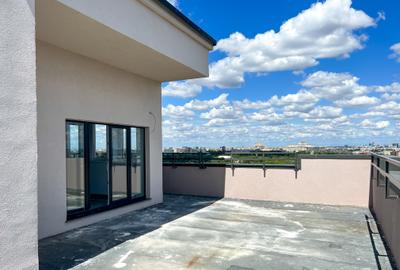 Penthouse , scara interioara , terasa cu vedere superba in Parcul Tineretului - 4