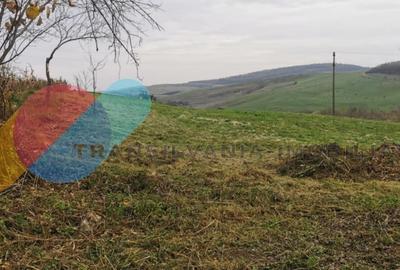 Casa individuala 1 camera, 51 mp, 3000 mp teren, Geaca - 4