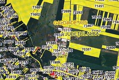 Teren Construcții intravilan de 2100 mp, în Galda de Jos - 3