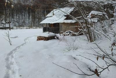 Casă cu Teren 2000 Mp în Scrind-Frăsinet - 3