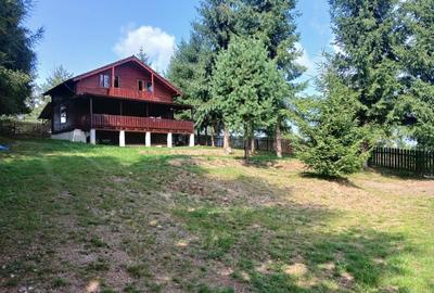 Casă cu 4 camere în Beliș - 6