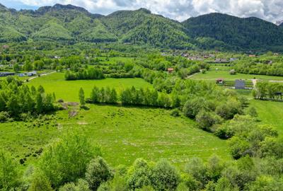 Teren Construcții intravilan de 500 mp, în Tohănița - 12