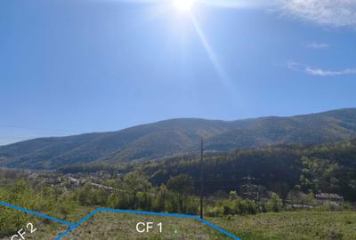 Teren de 5330 mp, în Pecinișca - 3