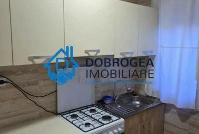 PACII - GARSONIERA CONFORT 1 ,PARTER, MOBILATA SI UTILATA - 3