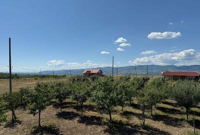 Casă individuală cu 2 camere cu Teren 850 Mp în Oarda - 3