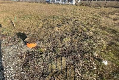 Teren Intravilan 500mp Cristian - 3