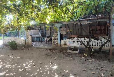 Casa batraneasca 5 camere, Loc. Rosiori , jud. Mehedinti Casa batraneasca 5 camere, Loc. Rosiori , jud. Mehedinti - 1