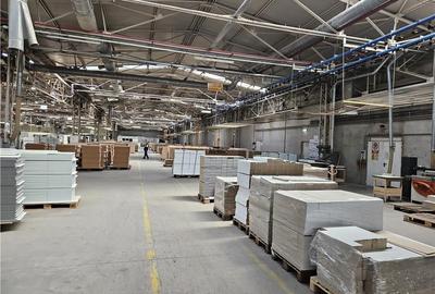 Spatiu Industrial - 5000 mp - Productie - Depozitare - 28