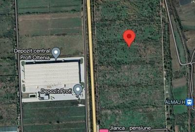 Teren de 200000 mp, în Almăj - 2