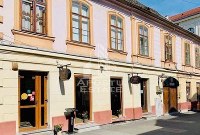 Afacere tip restaurant, Piata Unirii - 5