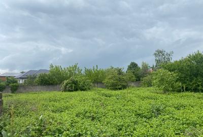 Islaz - Branesti - teren 1374mp - canalizare - gaze - curent - asfalt - 6