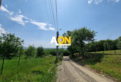 De vanzare 998 mp teren intravilan, Cetate - 3