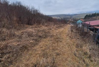 Vanzare teren de 1500 mp, Vlaha - 3