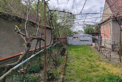 Casă cu 2 camere cu Teren 5000 Mp în Porț - 9