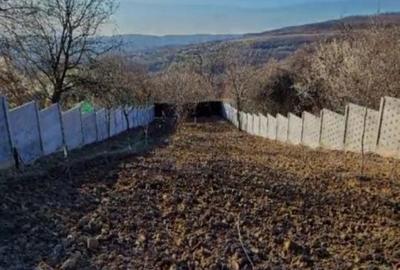 Casă cu 3 camere în Malovăț - 9