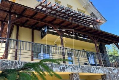 Casă de vacanța / Vilă în Păltiniș cu piscina acoperită și încălzită - 2
