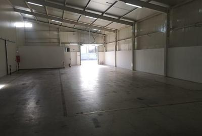 Hala industriala, 425mp, Carcea, zona Ford - 2