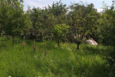 Casă cu 2 camere cu Teren 480 Mp în Turda - 4