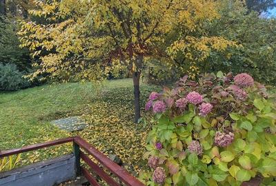 Hotel/Pensiune, de 356 mp, în Poiana Mărului - 24