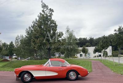 Dumbrava Vlasiei – Armonie între design, lumină și natură - 10