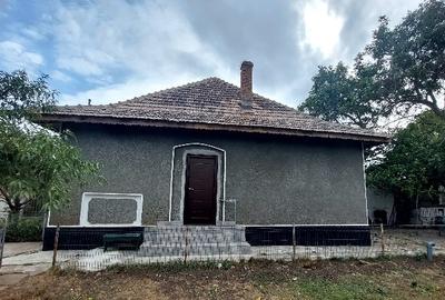 Dalga Sat, Com. Dor Marunt, jud. Calarasi Dalga Sat, Com. Dor Marunt, jud. Calarasi - 3