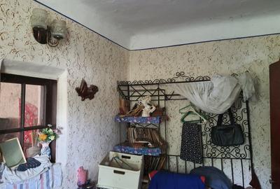 Cetatuia, com. Gaujani, jud. Giurgiu - 4