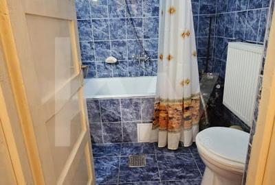 Casa cu poveste si potential - locul perfect pentru un nou inceput in Seica Mare - 15