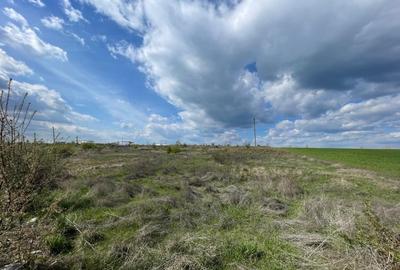 Teren intravilan 10013mp Pielesti DN65 - 3