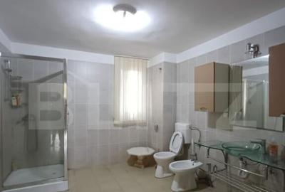 Casa individuala cu 5 camere, 1001 mp teren, zona Materna - 5