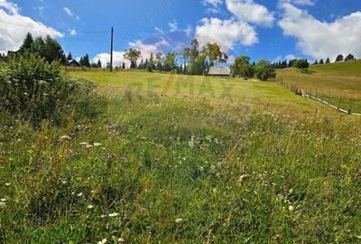 Teren de vis in Fundata 3868mp, la inal?imea sufletului tau - 13