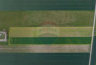 Teren 42,000mp Tarlungeni / Strada Izvor Teren 42,000mp Tarlungeni / Strada Izvor - 2