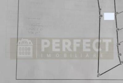 Teren 5590 mp INTRAVILAN Baicoi pret 17 euro/mp - 7