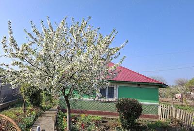 Casă cu 2 camere cu Teren 655 Mp în Misleanu - 5