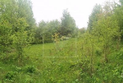 Ocazie!Teren intravilan in comuna Ciurila sat Saliste, priveliste - 1