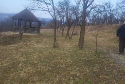 Teren de 5976 mp, în Moisei - 2