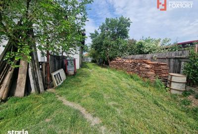 Casă cu 3 camere cu Teren 2096 Mp în Remetea Mare - 4